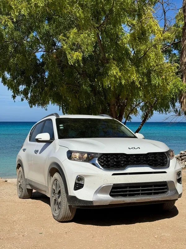 White Kia SUV rental parked in the shade of a tree by the sea near Bávaro