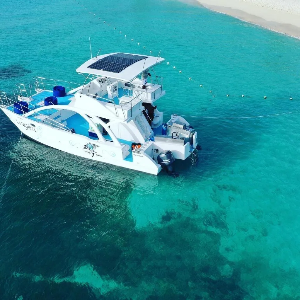 Czarter jachtu Catamaran La Dichosa w Punta Cana — zdjęcie 2