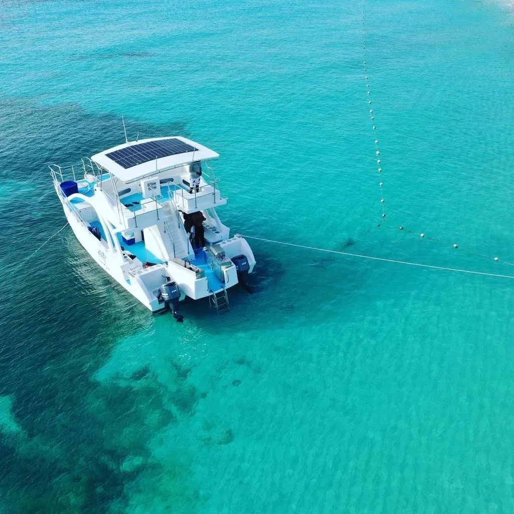 Czarter jachtu Catamaran La Dichosa w Punta Cana — zdjęcie 4
