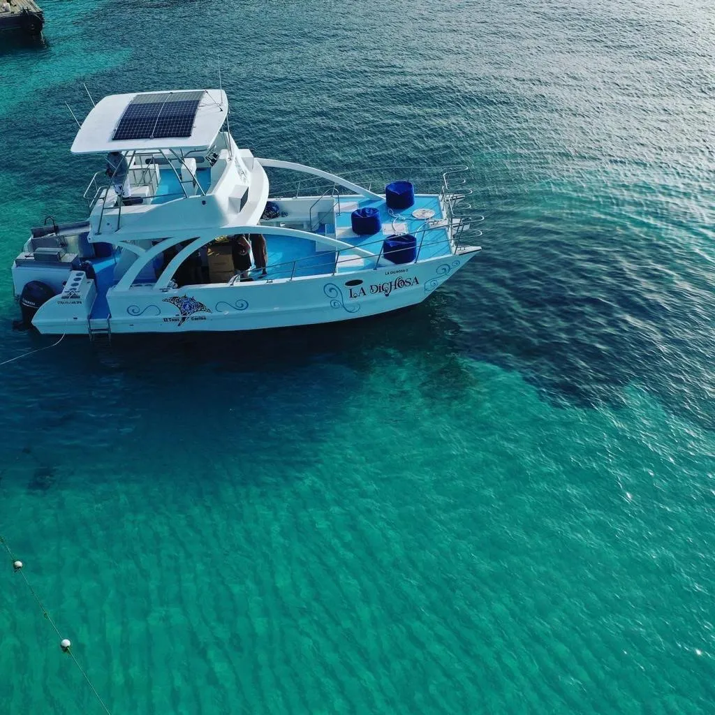 Czarter jachtu Catamaran La Dichosa w Punta Cana — zdjęcie 5