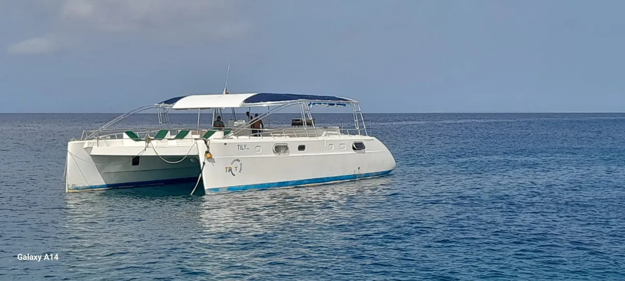Czarter jachtu Catamaran Tilliz w Punta Cana — zdjęcie 3