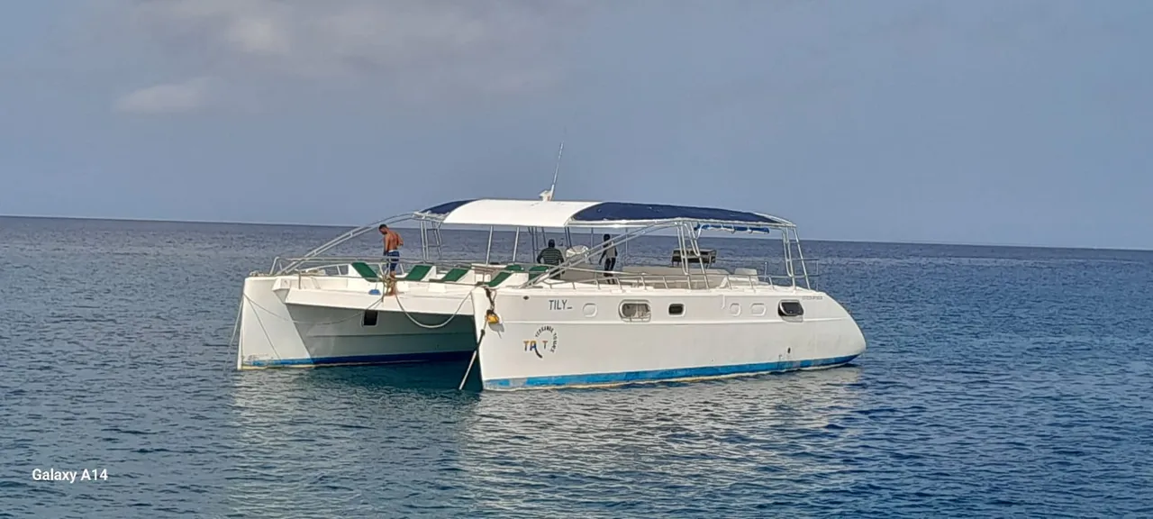 Czarter jachtu Catamaran Tilliz w Punta Cana — zdjęcie 4