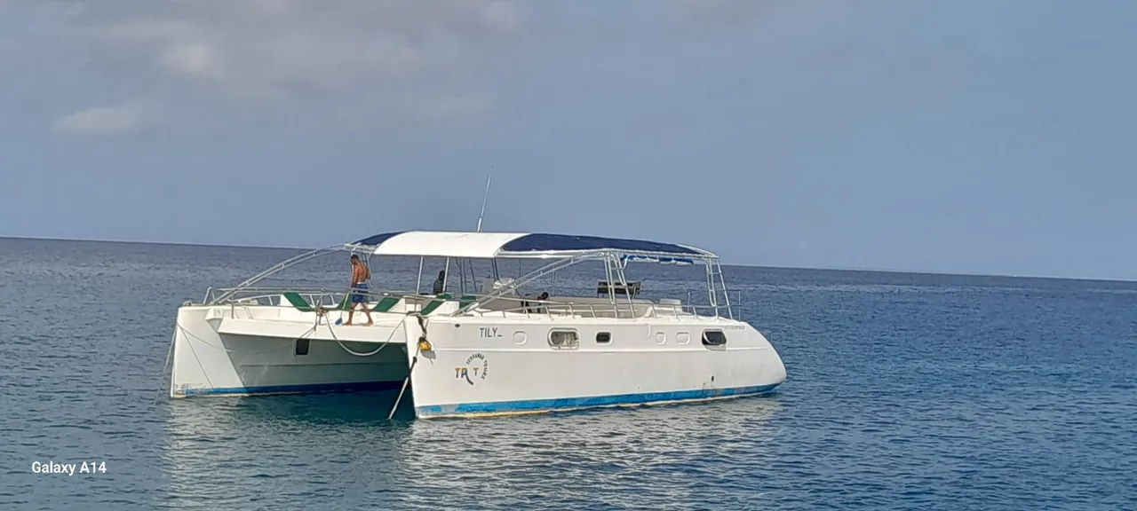Czarter jachtu Catamaran Tilliz w Punta Cana — zdjęcie 5