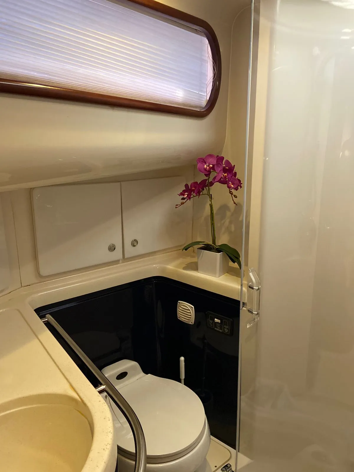 Czarter jachtu Cris Craft 43 w Punta Cana — zdjęcie 5