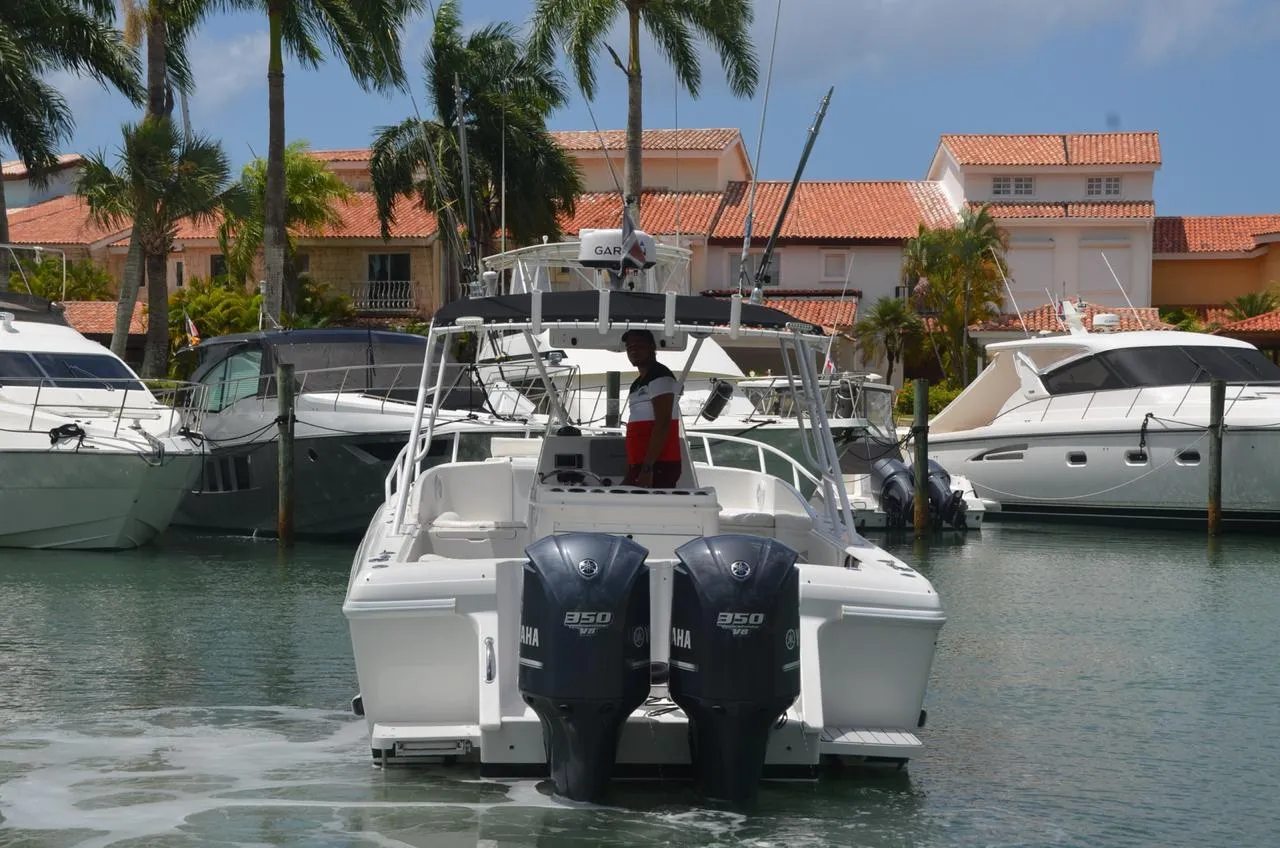 Czarter jachtu Intrepid 36 w Punta Cana — zdjęcie 6