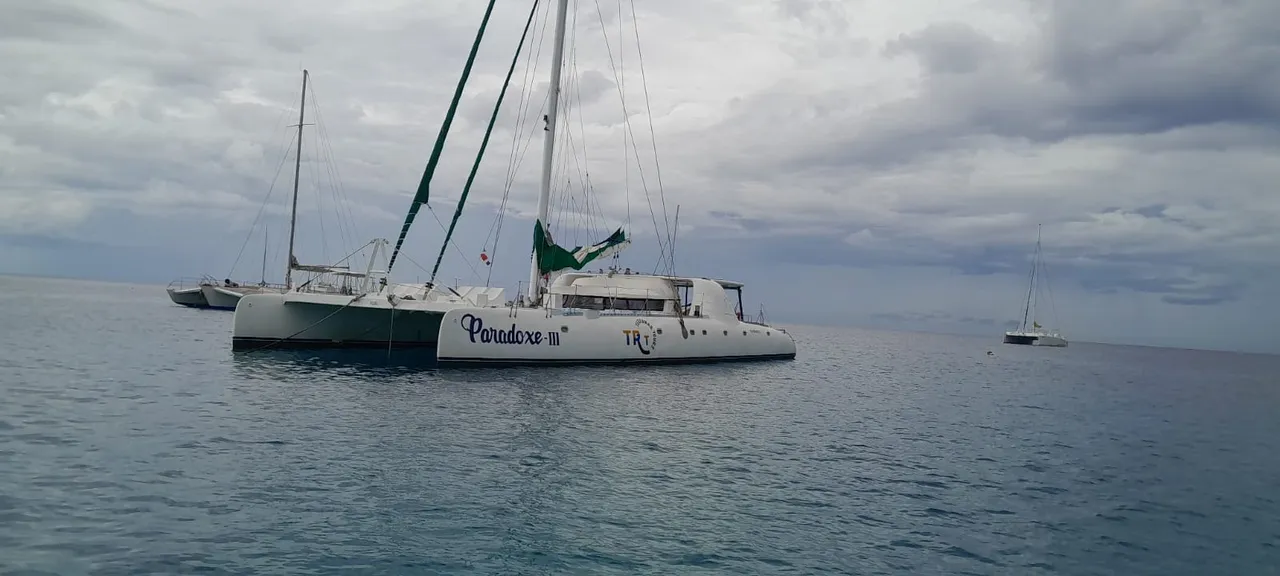 Czarter jachtu Paradox w Punta Cana — zdjęcie 2