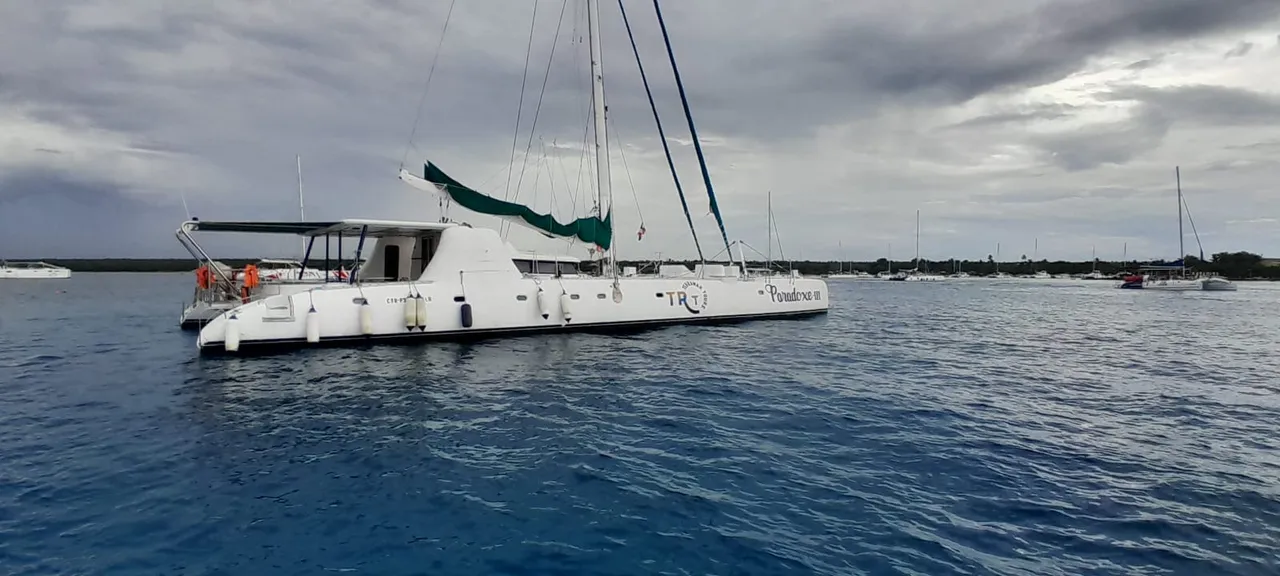 Czarter jachtu Paradox w Punta Cana — zdjęcie 5