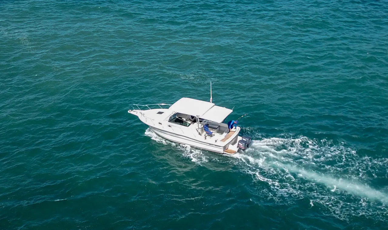 Czarter jachtu Scorpio w Punta Cana — zdjęcie 2