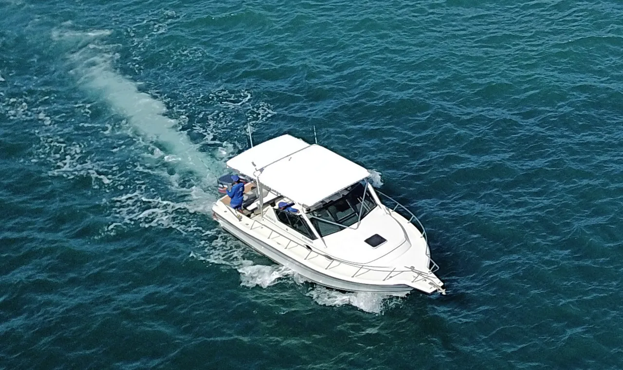 Czarter jachtu Scorpio w Punta Cana — zdjęcie 4