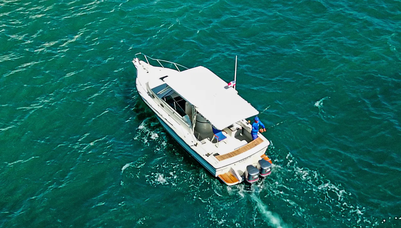 Czarter jachtu Scorpio w Punta Cana — zdjęcie 6